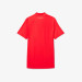 Camisa Polo Lacoste Tennis Djokovic - Vermelha