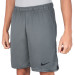 Short Nike DF Epic Knit 8In - Cinza