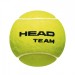 Bola de Tênis Head Team 3B - Pack com 3 Tubos