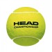 Bola de Tênis Head Championship - 3 Bolas