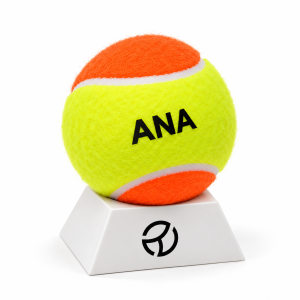 Bolinha Personalizada de Beach Tennis com Nome